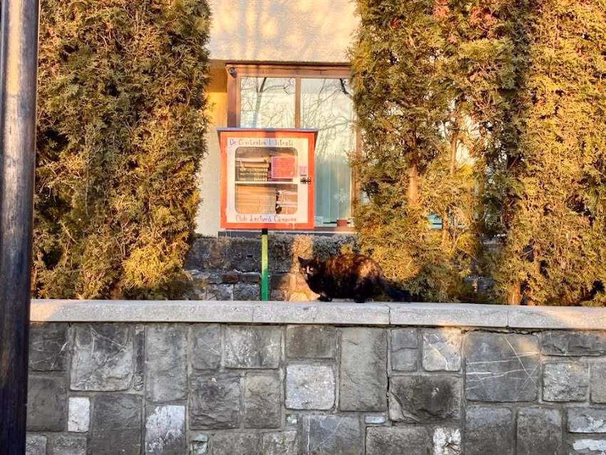Biblioteca Municipală Constantin Istrati Câmpina