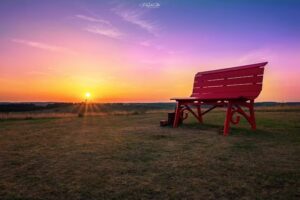 Big Bench 318 Labaşinț