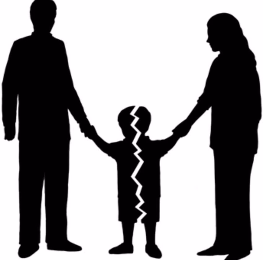 Birou De Mediator Otilia Belcineanu