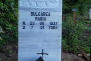 Biserica Adormirea Maicii Domnului