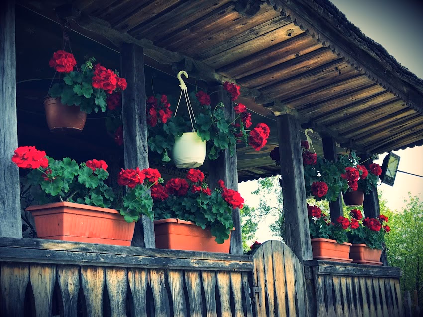 Biserica de lemn Bărbălătești