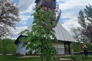 Biserica Învierea Domnului