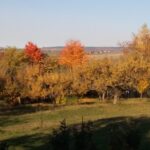 Biserica Ortodoxă Râbâia