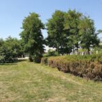 Biserica Ortodoxă Țepeș Vodă