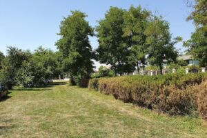 Biserica Ortodoxă Țepeș Vodă