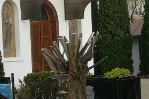 Biserica Sfantul Nicolae