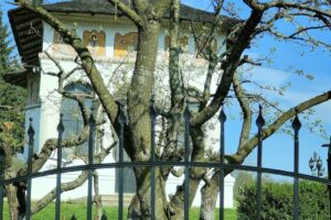 Biserica Valea Danului