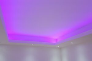 Bizu Grup Instal srl