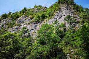 Boga Gyöngye Perla Boghii