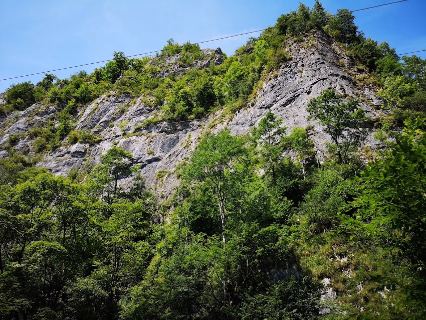 Boga Gyöngye Perla Boghii