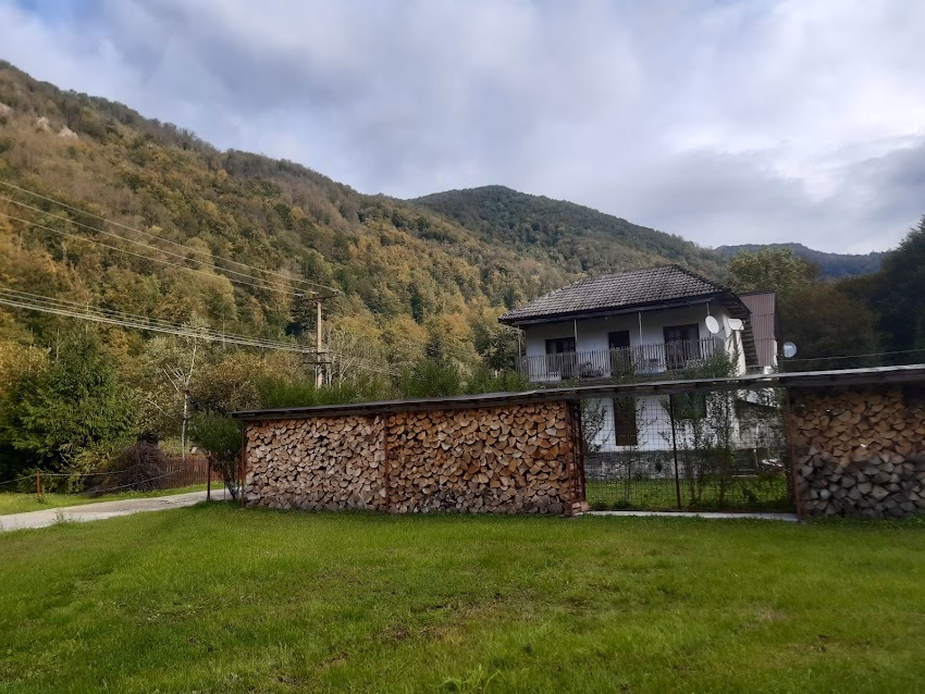 Boga Gyöngye Perla Boghii