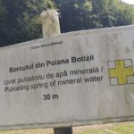 Borcut Poiana Botizii