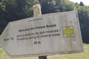 Borcut Poiana Botizii