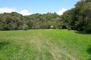 Borcut Valea Vinului Apă Minerală Naturală Carbogazoasă