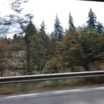 Brădești