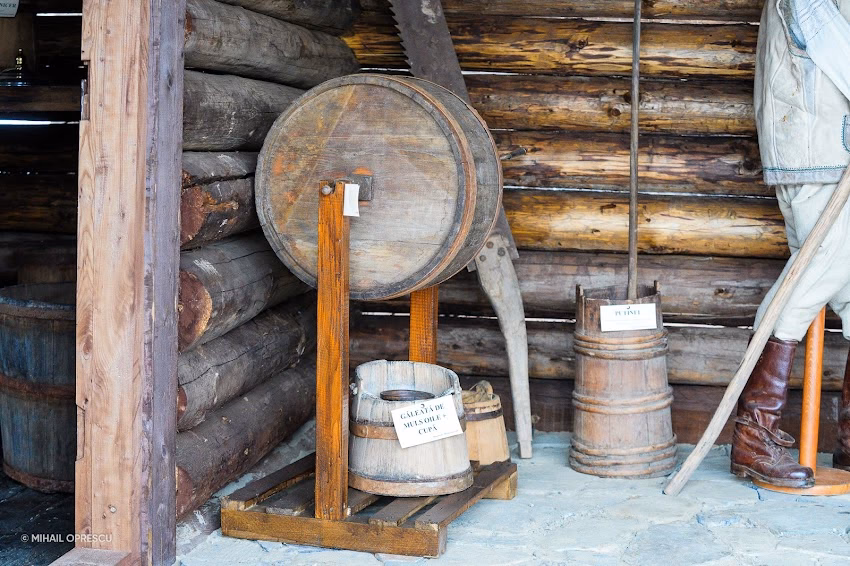 Brânzăria lui David Creangă