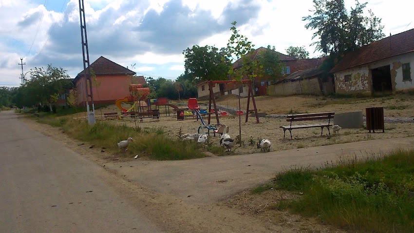 Bucovăţ