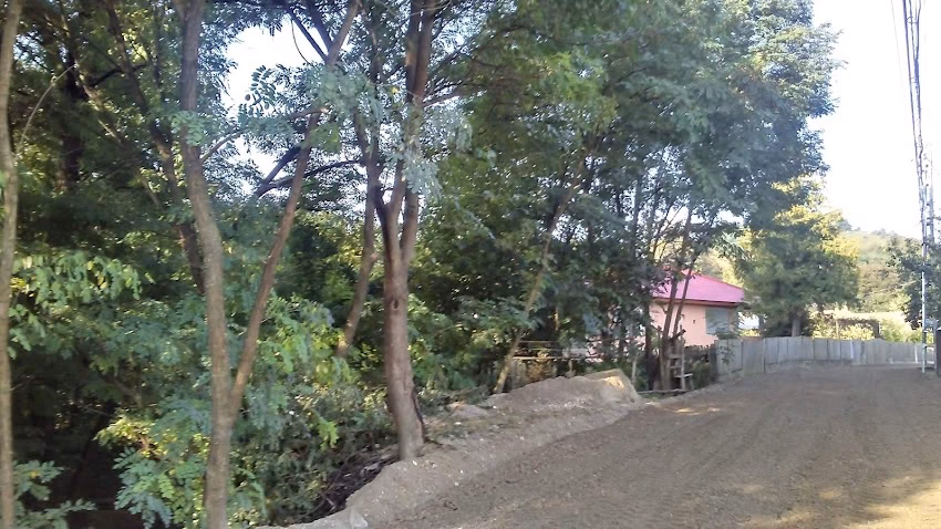 Buda