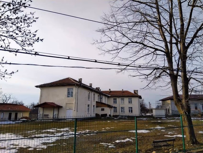 Budieni
