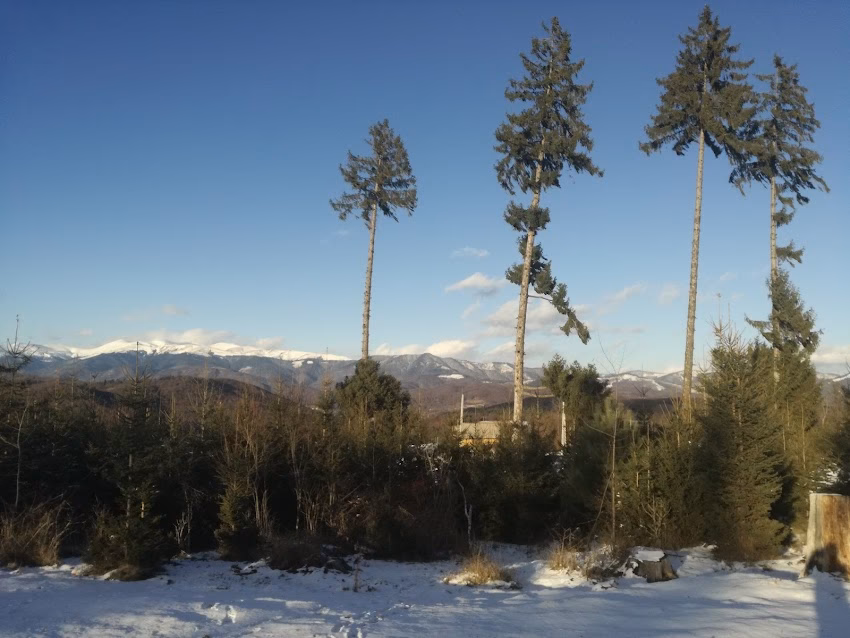 Bughea de Jos
