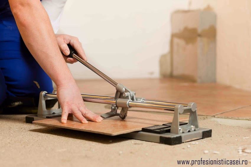 Business Ana Radu Construct Srl