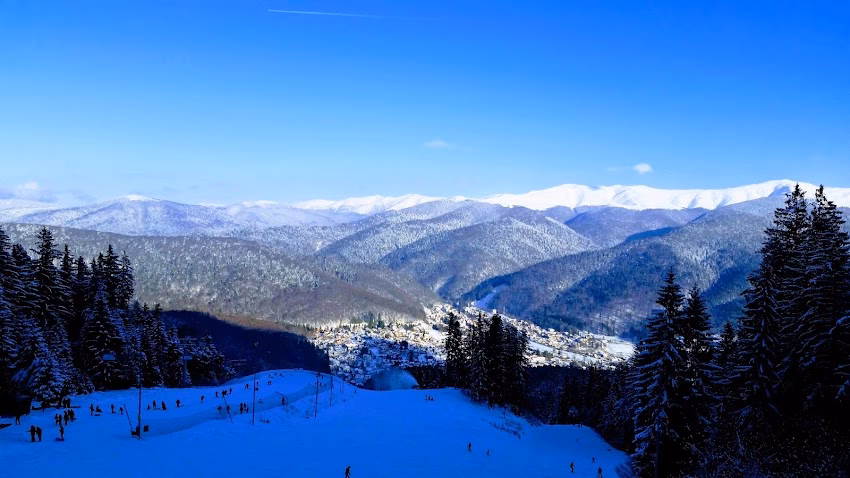 Bușteni