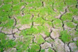 Cc Electro Trans Construct srl