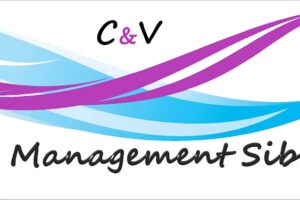 Cv Management Sib