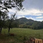 Ca la Mama Acasa Punct Gastronomic Local doar cu rezervare