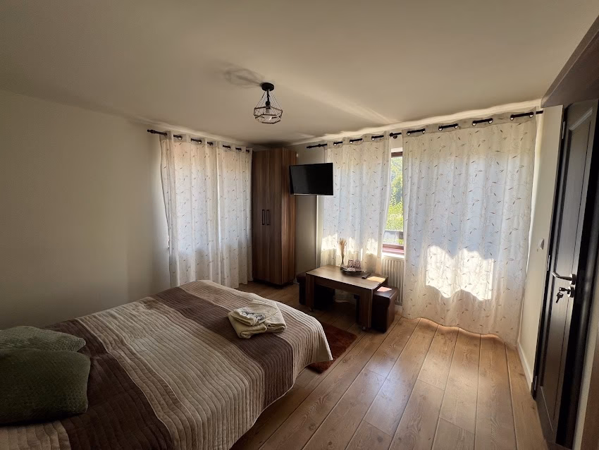 Cabana Casa Sorina