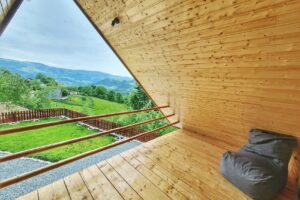 Cabana dintre mesteceni