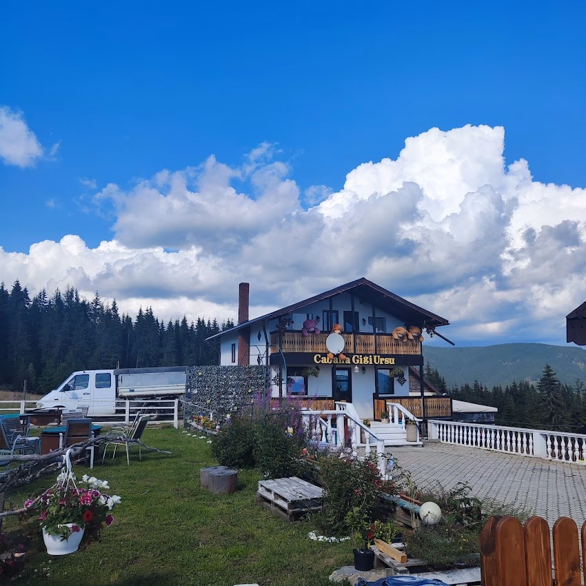 Cabana Gigi Ursu Hotel