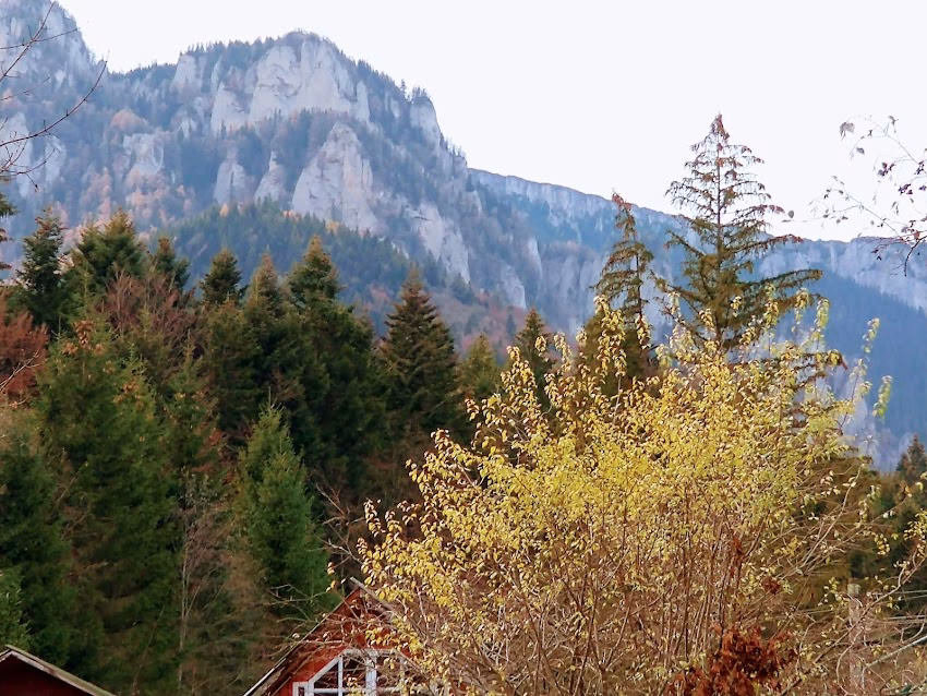 Cabana Izvorul Muntelui