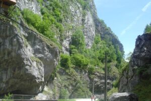 Cabana Lunca Florii Tabără Adeona