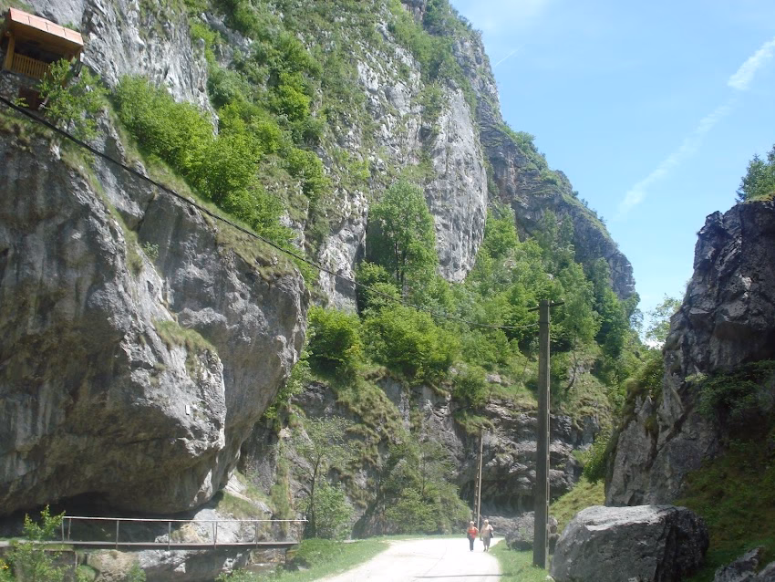 Cabana Lunca Florii Tabără Adeona