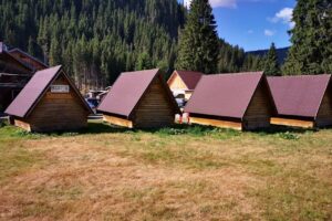 Cabana Obârşia Lotrului