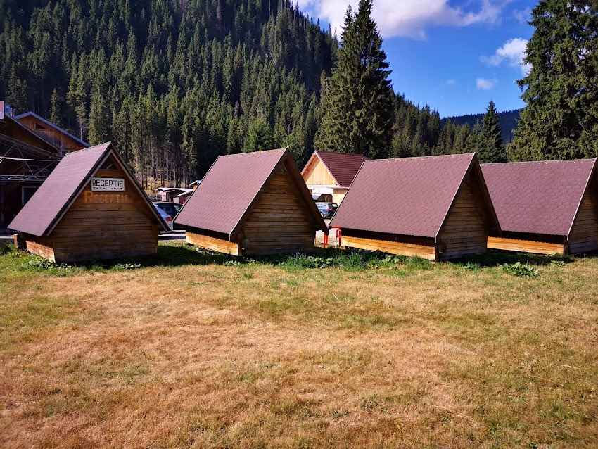 Cabana Obârşia Lotrului