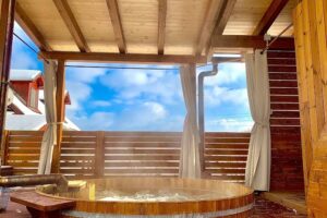 Cabana Plaiuri Ardelene