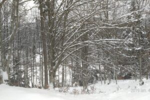 Cabana Turistica Valea Zabrataului