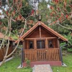 Cabana Turistica Valea Zabrataului