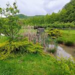 Cabana Veneția de Sus