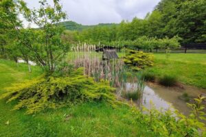 Cabana Veneția de Sus