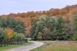 Cabana Veneția de Sus