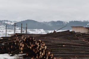 CamaterraWoodconstruct