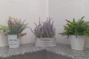 Camera de Comerţ Bacău