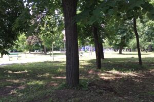 Cămin Cultural Paleu