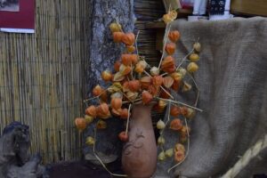 Caminul cultural Izvor de apa vie