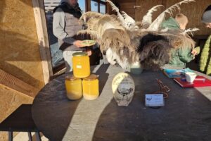 Campul cu struti Bacau