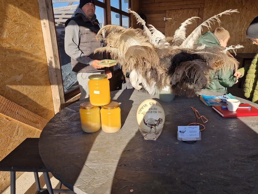 Campul cu struti Bacau