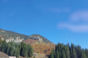 Campul Mielului anul 1990